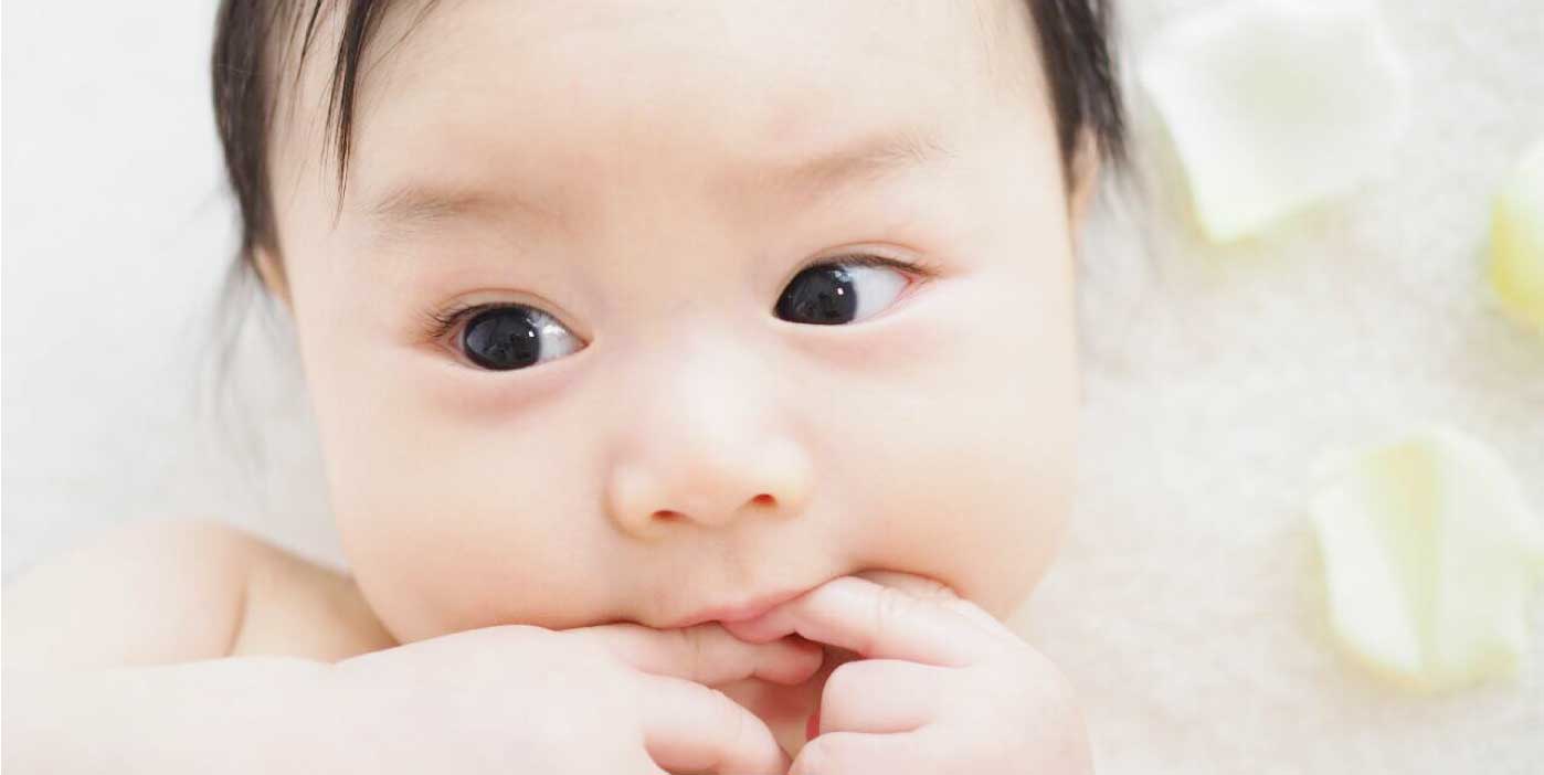せんだん幼稚園 特色
